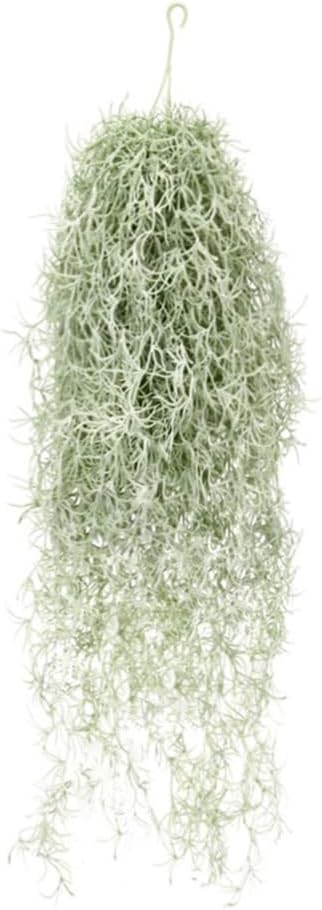 Air Plant Tillandsia - Kunstmatige massaal Tillandsia luchtplanten 31