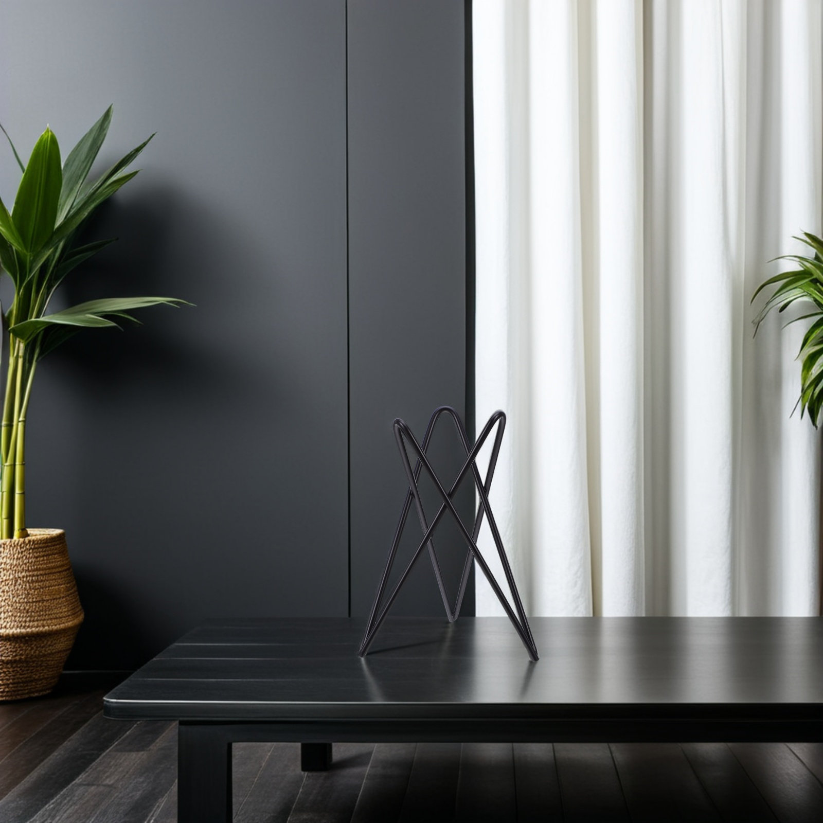 Air Plant Tillandsia - 2 stuks ijzeren driepootstandaard voor luchtplanten