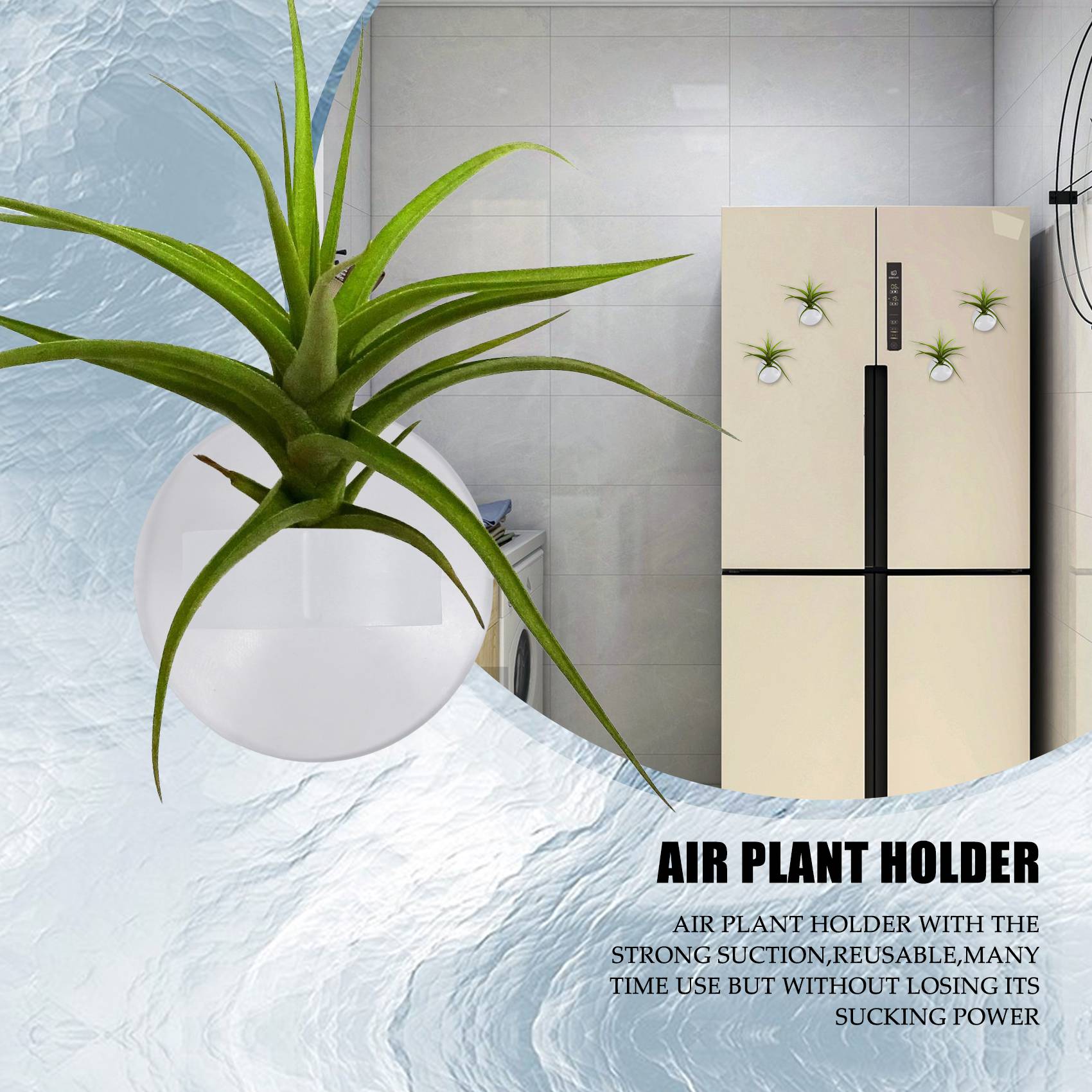 Air Plant Tillandsia - AC76-20 stuks luchtplantenhouder, plantenpot Tillandsia houder