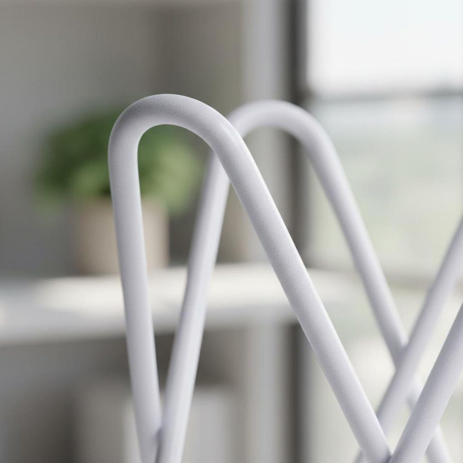 Air Plant Tillandsia - Air Plant Stand Minimalistisch ontwerp Air