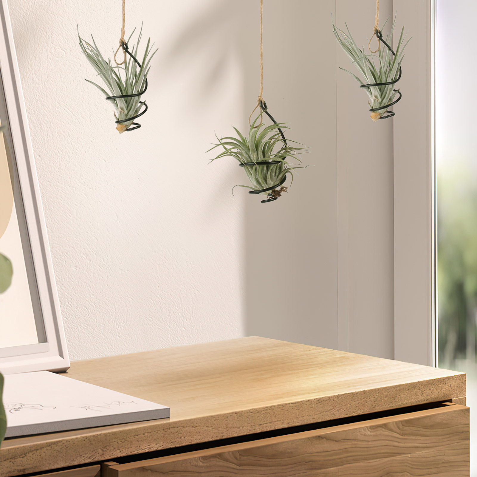 Air Plant Tillandsia - 12-delige set metalen spiraalvormige luchtplantenhouders, verstelbare