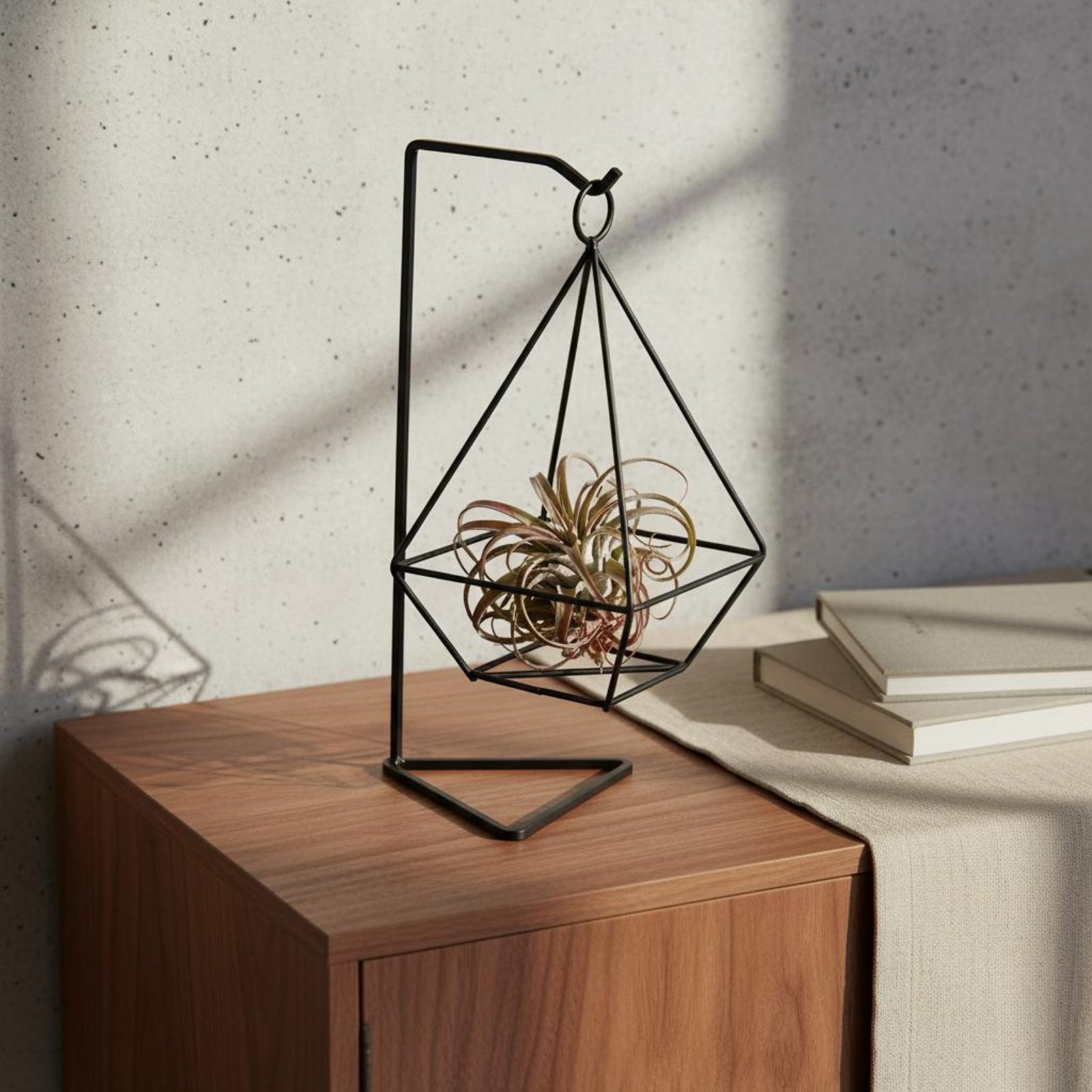 Air Plant Tillandsia - Geometrische luchtplantenhouder Minimalistisch design luchtplantenhouder Geometrische