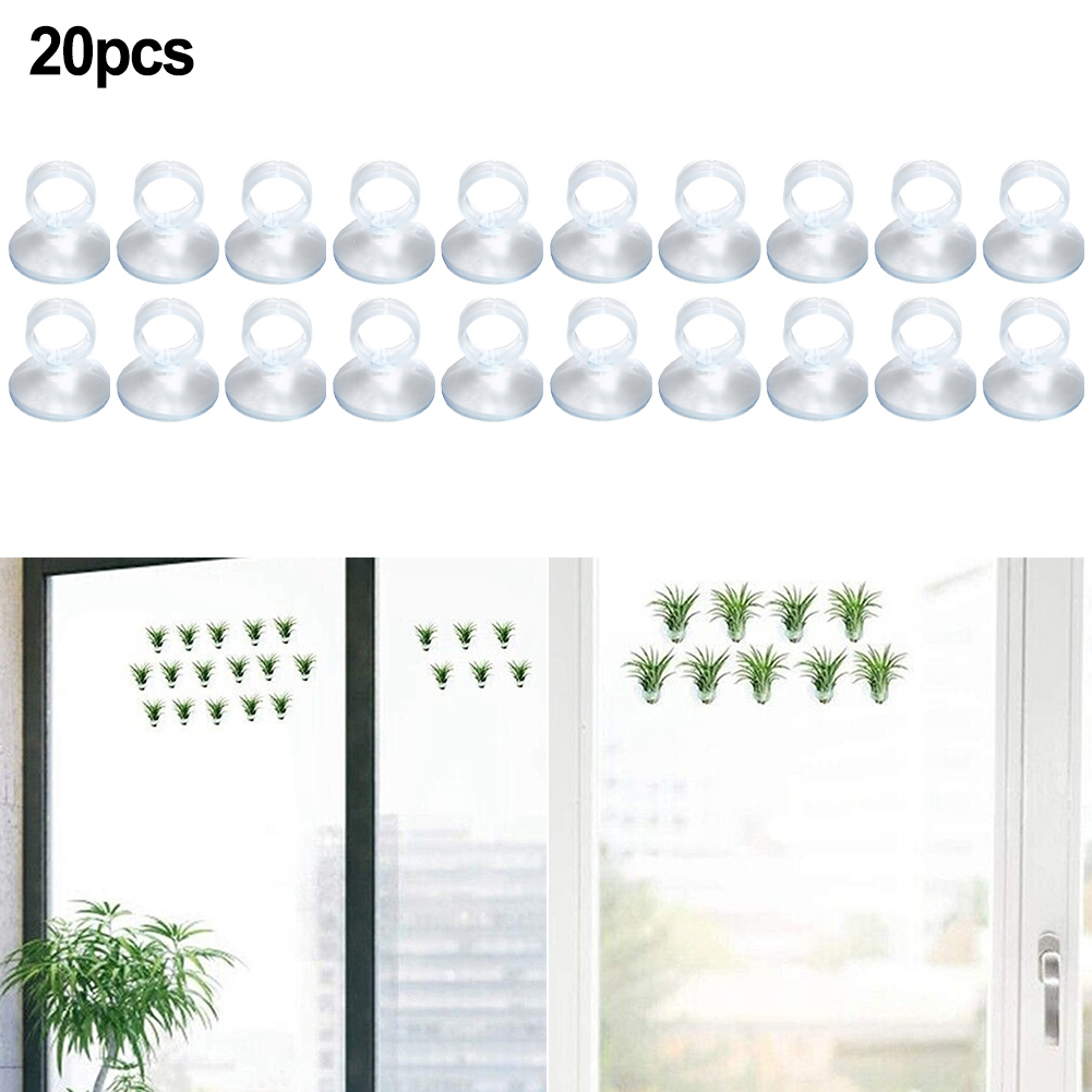 Air Plant Tillandsia - 20 stuks Air Plant-montagehouder voor Tillandsia