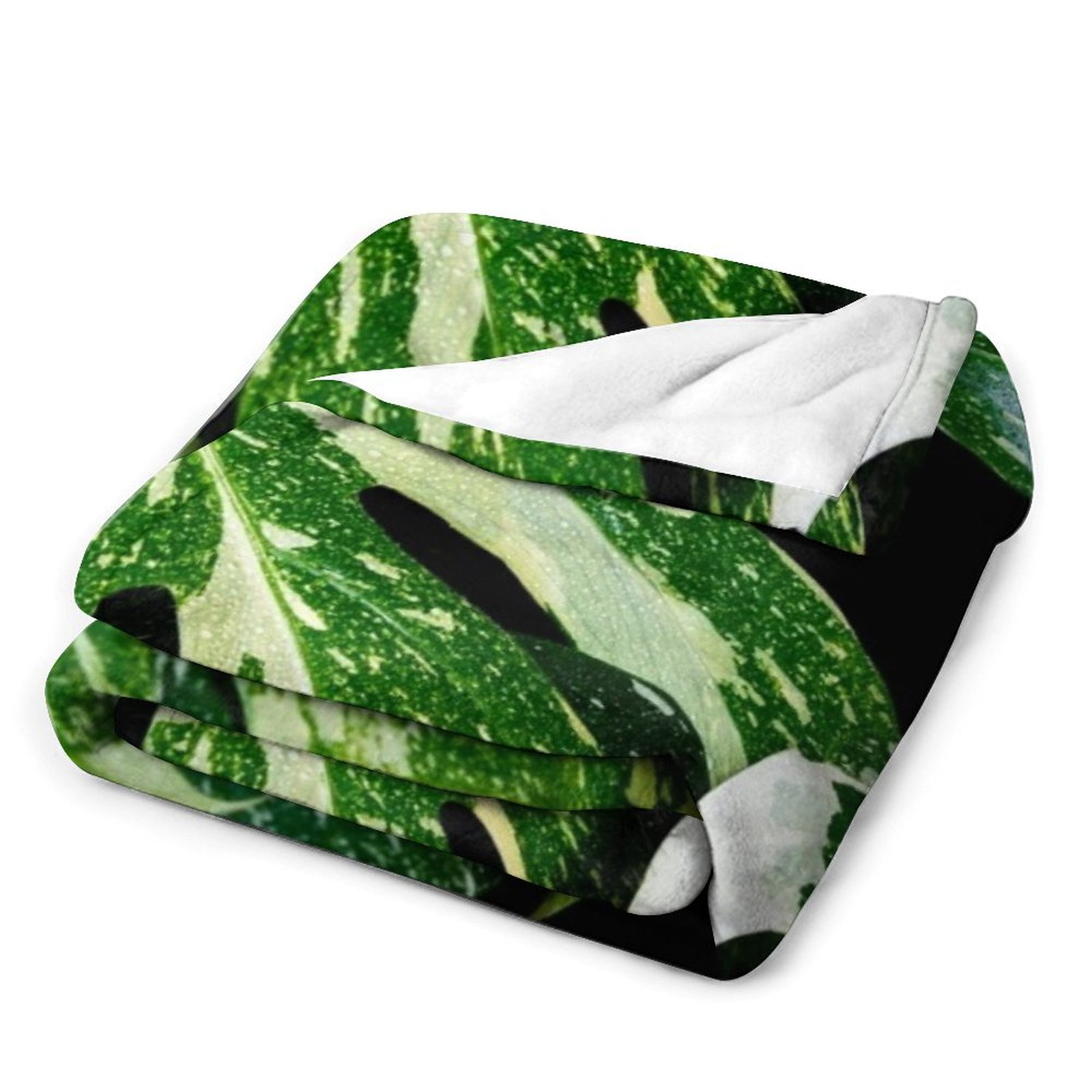 Monstera Thai Constellation Pl - Monstera Thai Constellation recensie en prijs