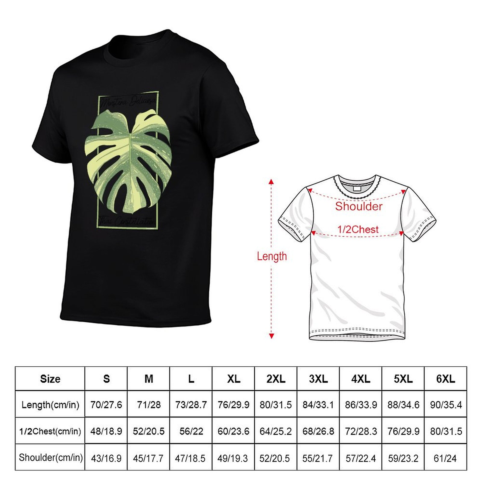 Monstera Thai Constellation Bo - Monstera Thai Constellation recensie en prijs