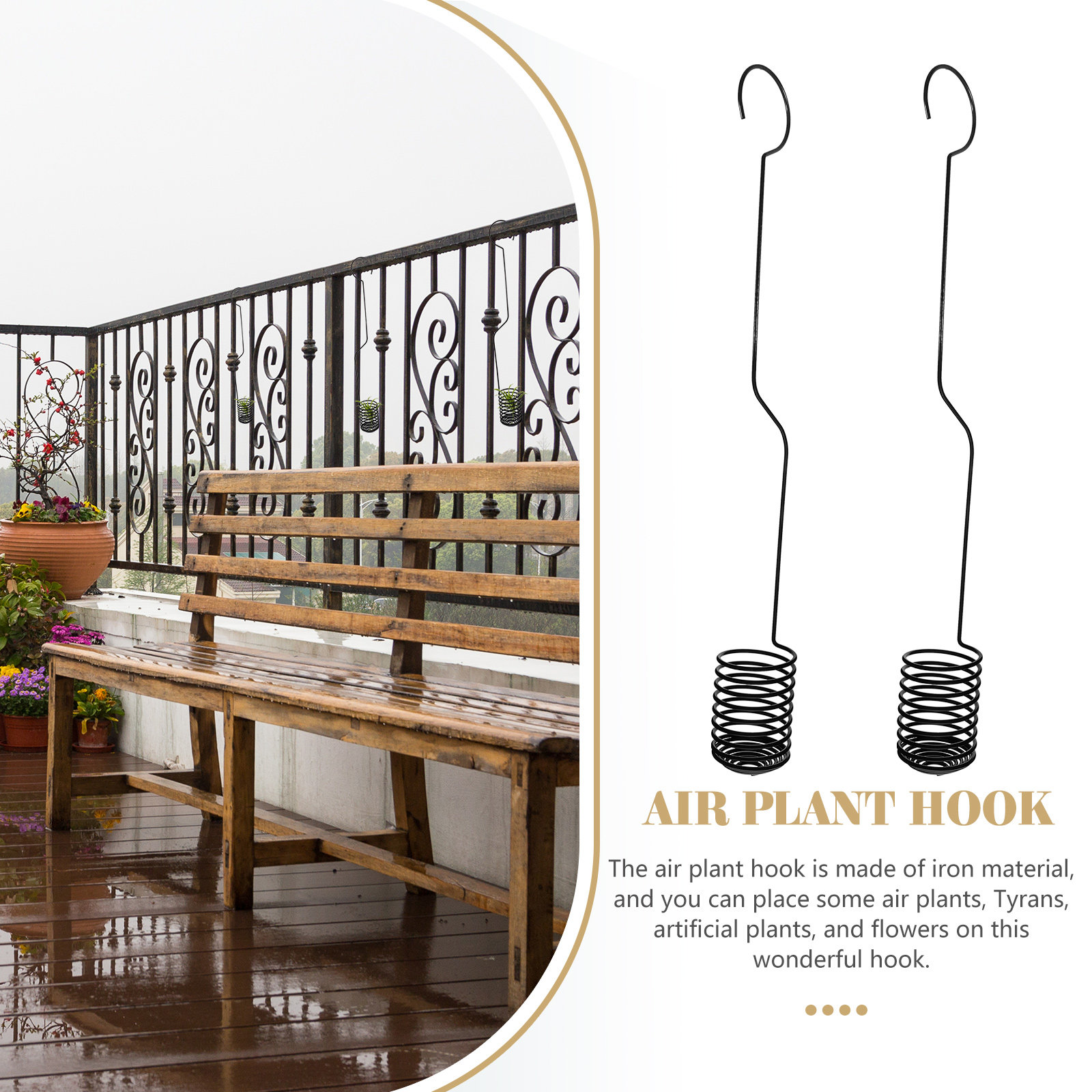 2 stuks spiraalvormige hangend - Air Plant Tillandsia recensie en prijs