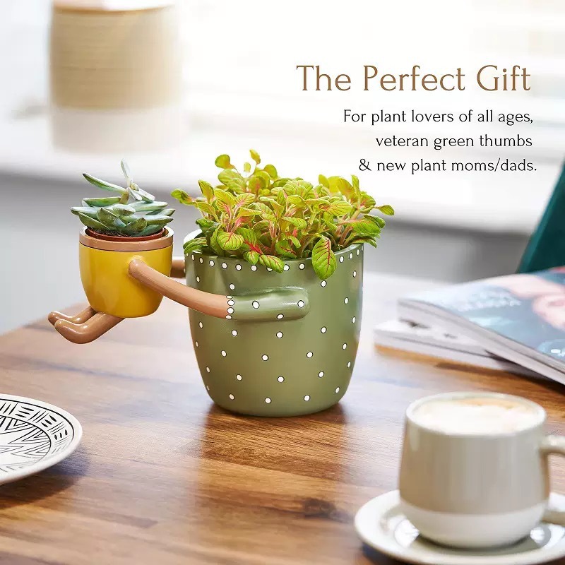 Harsen Bloempot voor Ouders en - Plant Parent Pot recensie en prijs