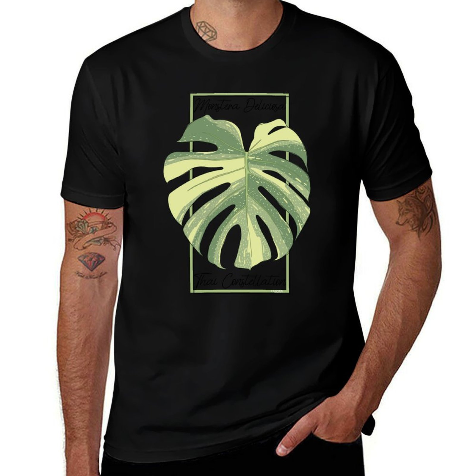 Monstera Thai Constellation Bo - Monstera Thai Constellation recensie en prijs