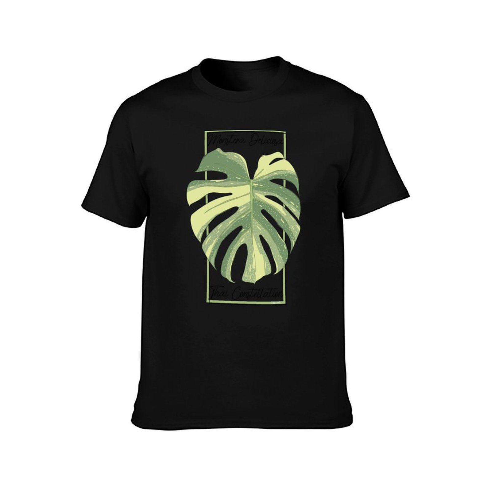 Monstera Thai Constellation Bo - Monstera Thai Constellation recensie en prijs