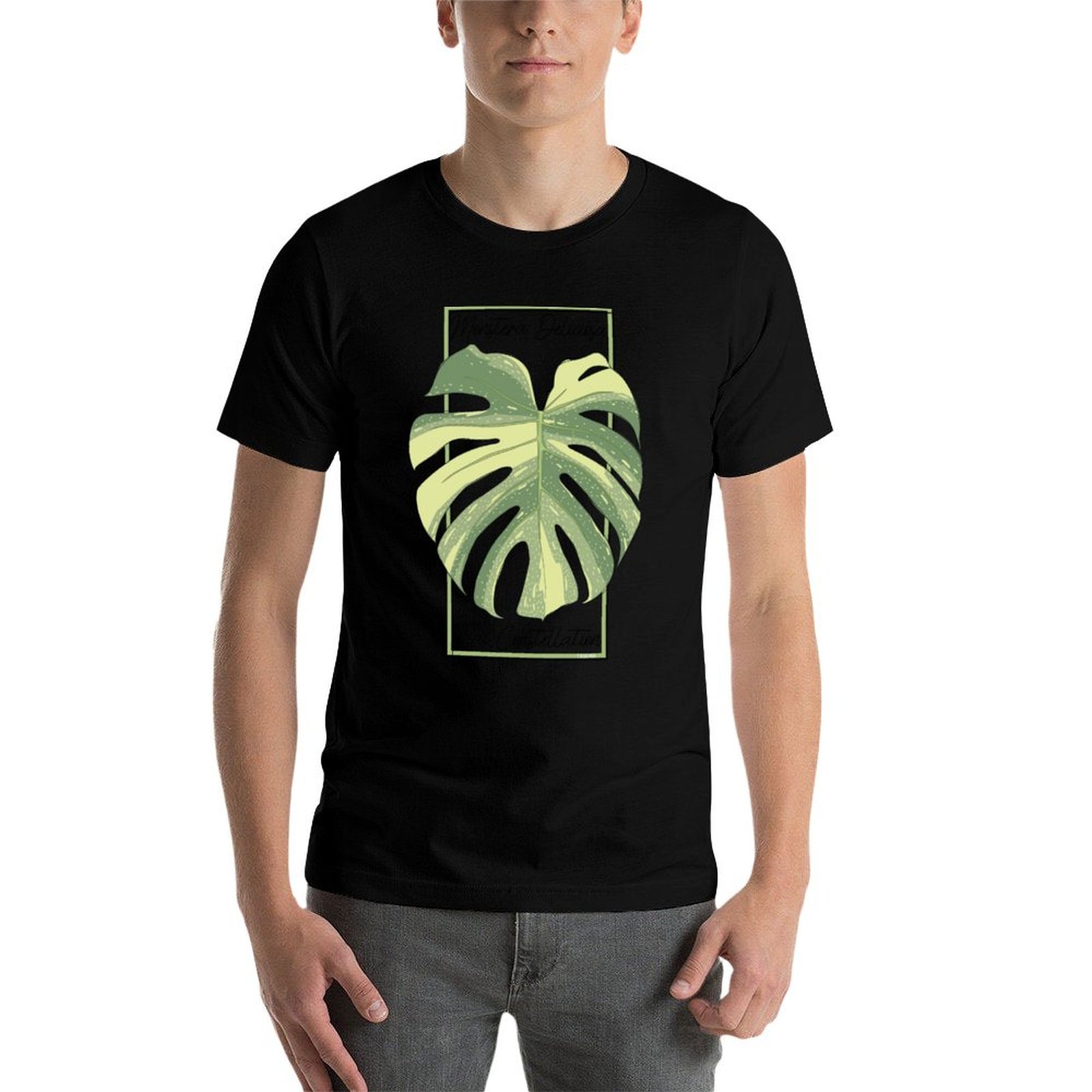 Monstera Thai Constellation Bo - Monstera Thai Constellation recensie en prijs
