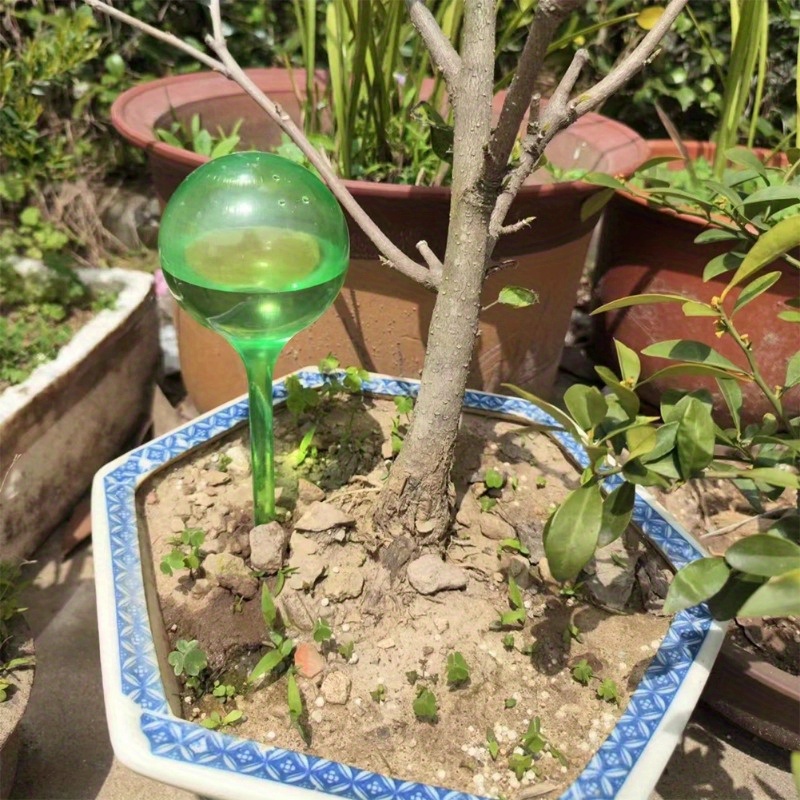 6 stuks zelfwatergevende balle - Plant Parent Kit recensie en prijs
