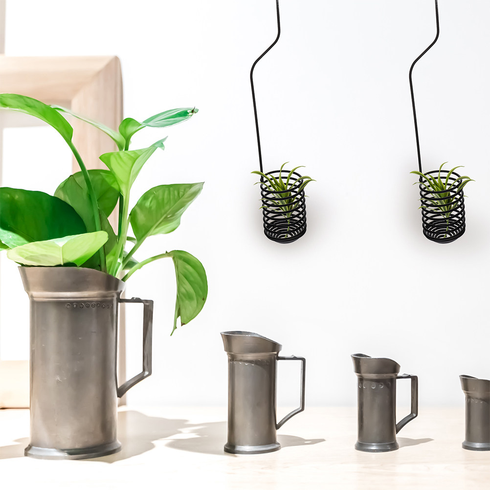 3-delige verstelbare spiraalvo - Air Plant Tillandsia recensie en prijs