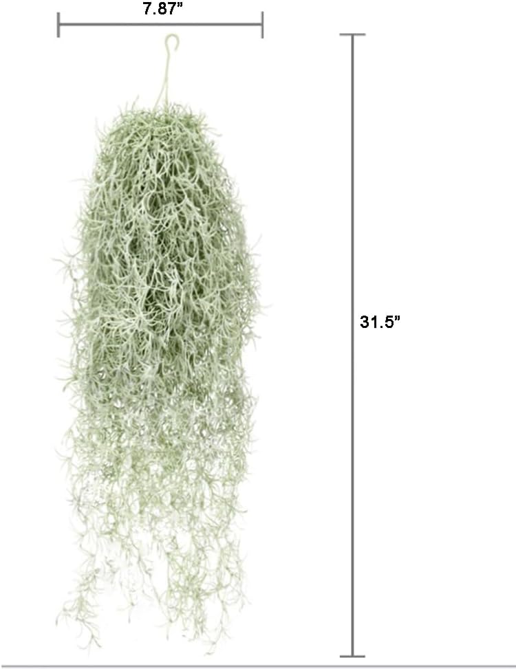 Kunstmatige massaal Tillandsia - Air Plant Tillandsia recensie en prijs