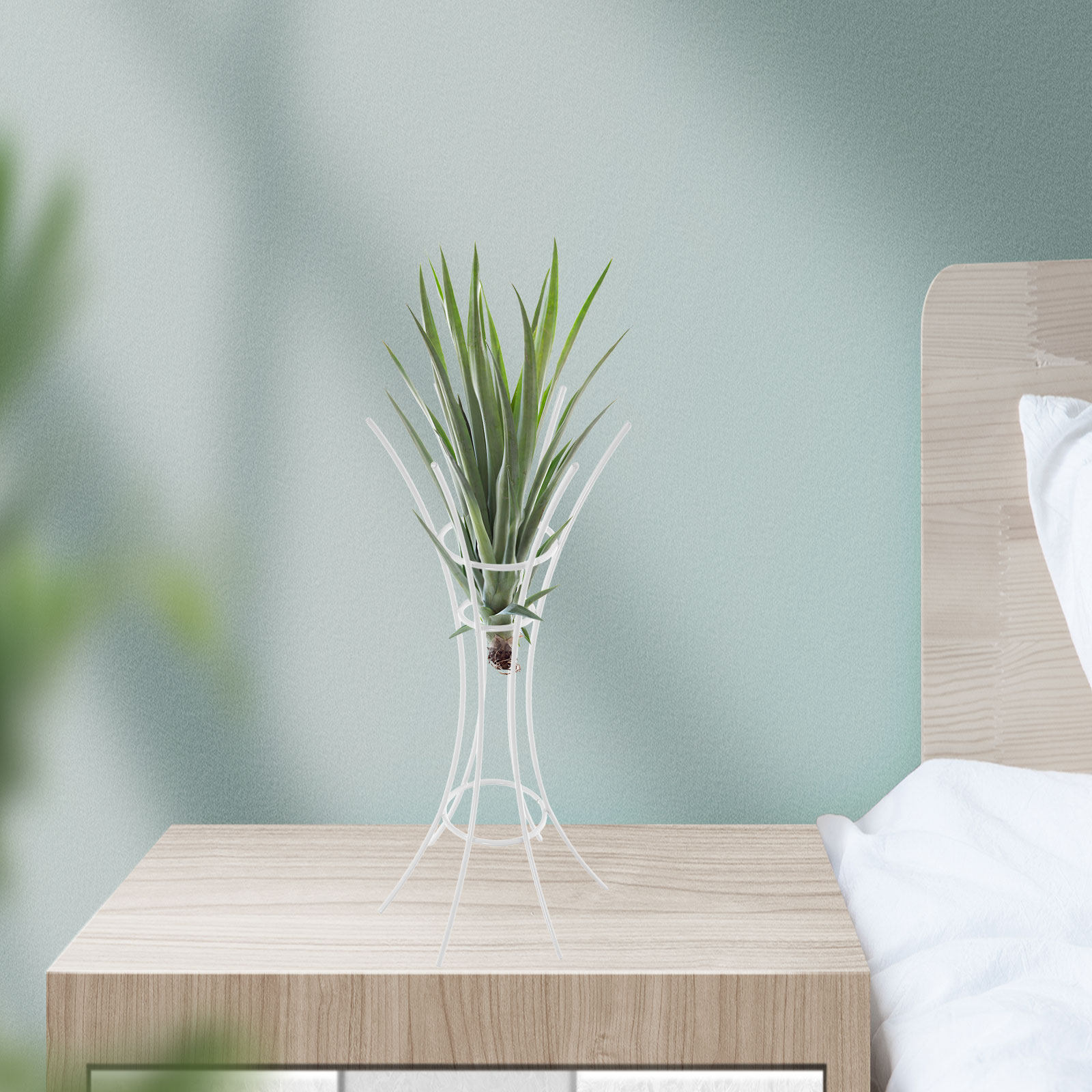 Air Plant Stand Holder Metalen - Air Plant Tillandsia recensie en prijs