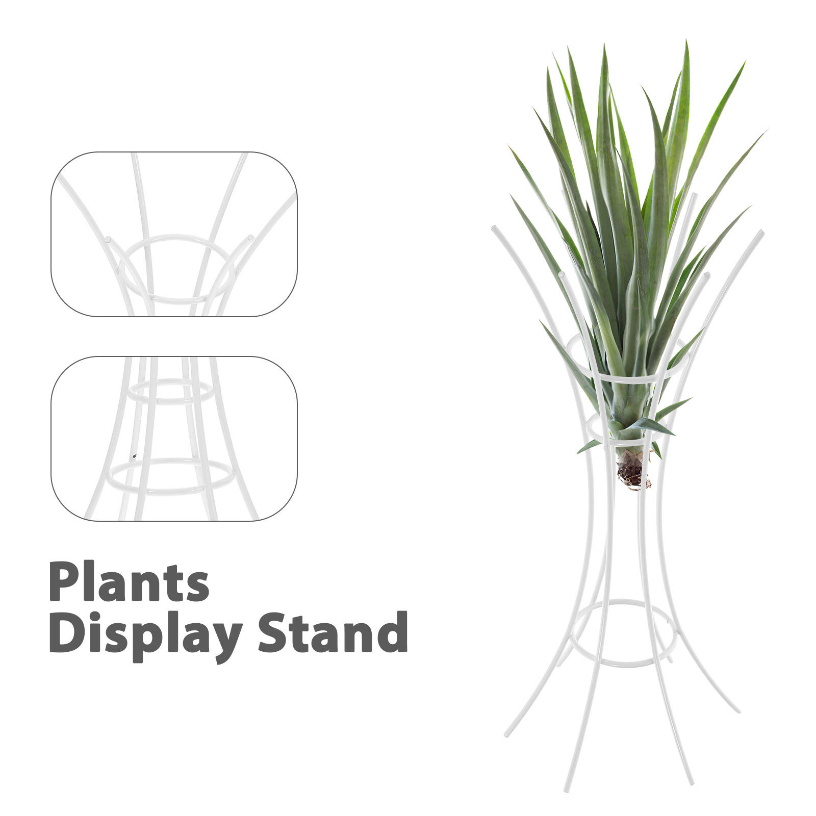 Air Plant Stand Holder Metalen - Air Plant Tillandsia recensie en prijs