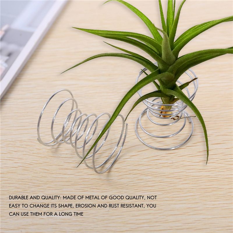 Hot Selling-6 stuks Air Plant  - Air Plant Tillandsia recensie en prijs