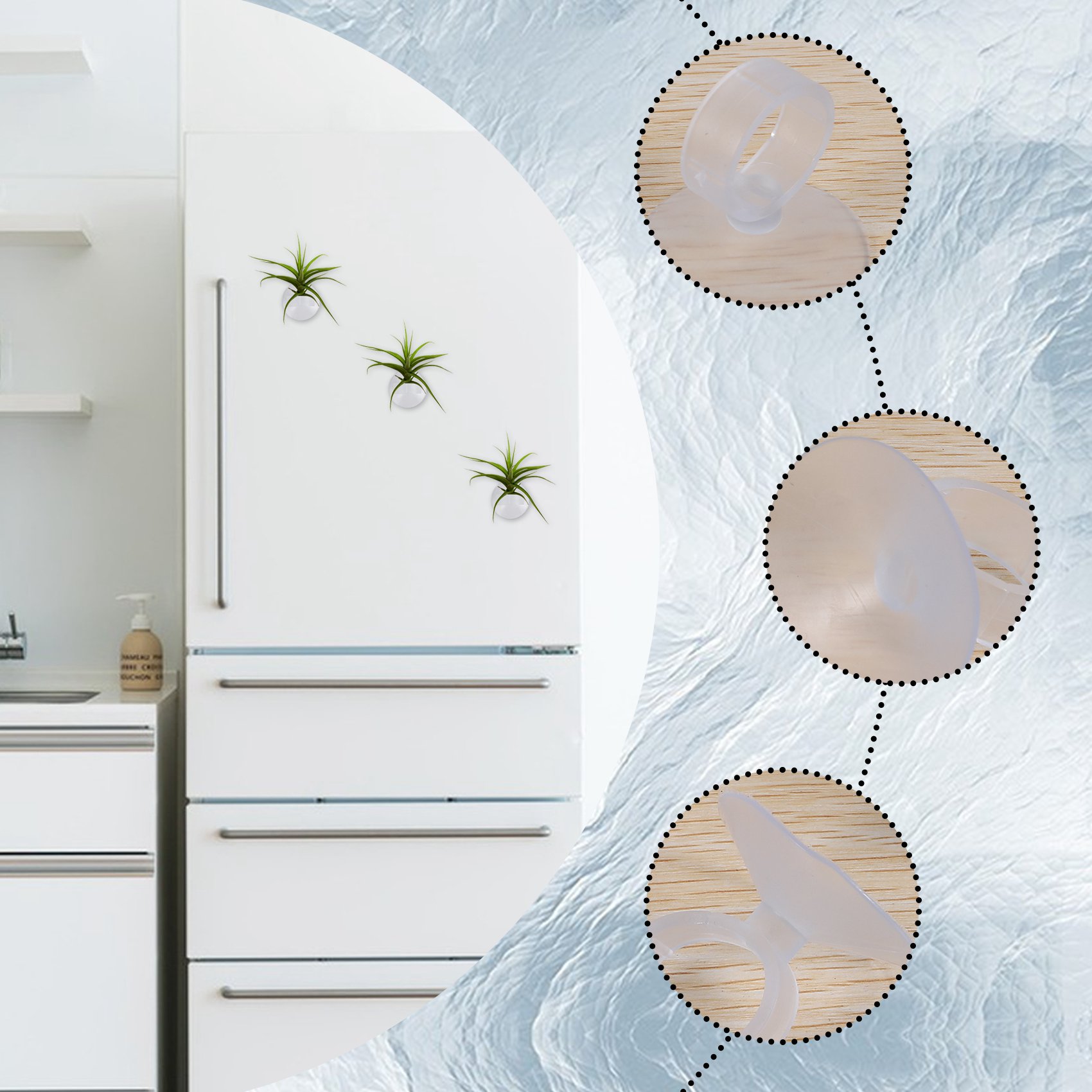 AC76-20 stuks luchtplantenhoud - Air Plant Tillandsia recensie en prijs