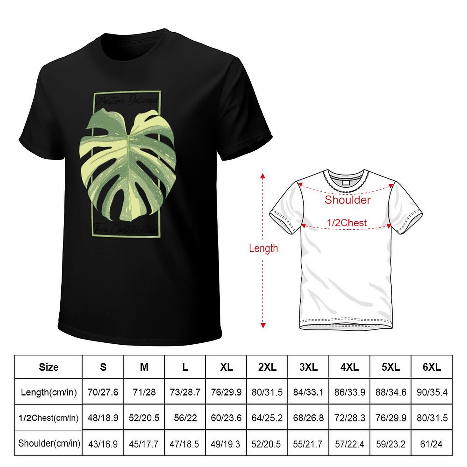 Monstera Thai Constellation Bo - Monstera Thai Constellation recensie en prijs