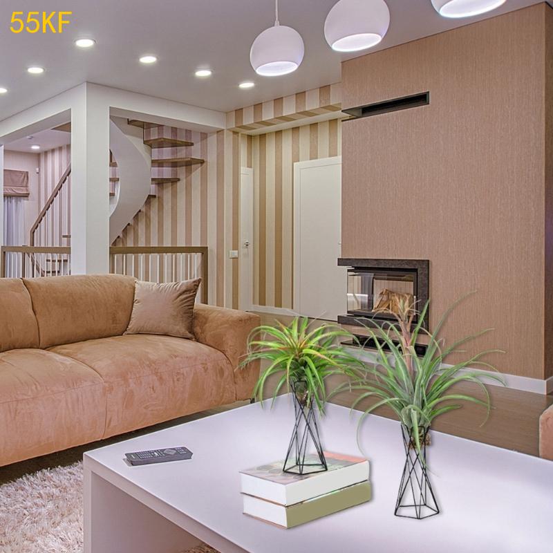 55kf Noordse luchtplanthouder  - Air Plant Tillandsia recensie en prijs