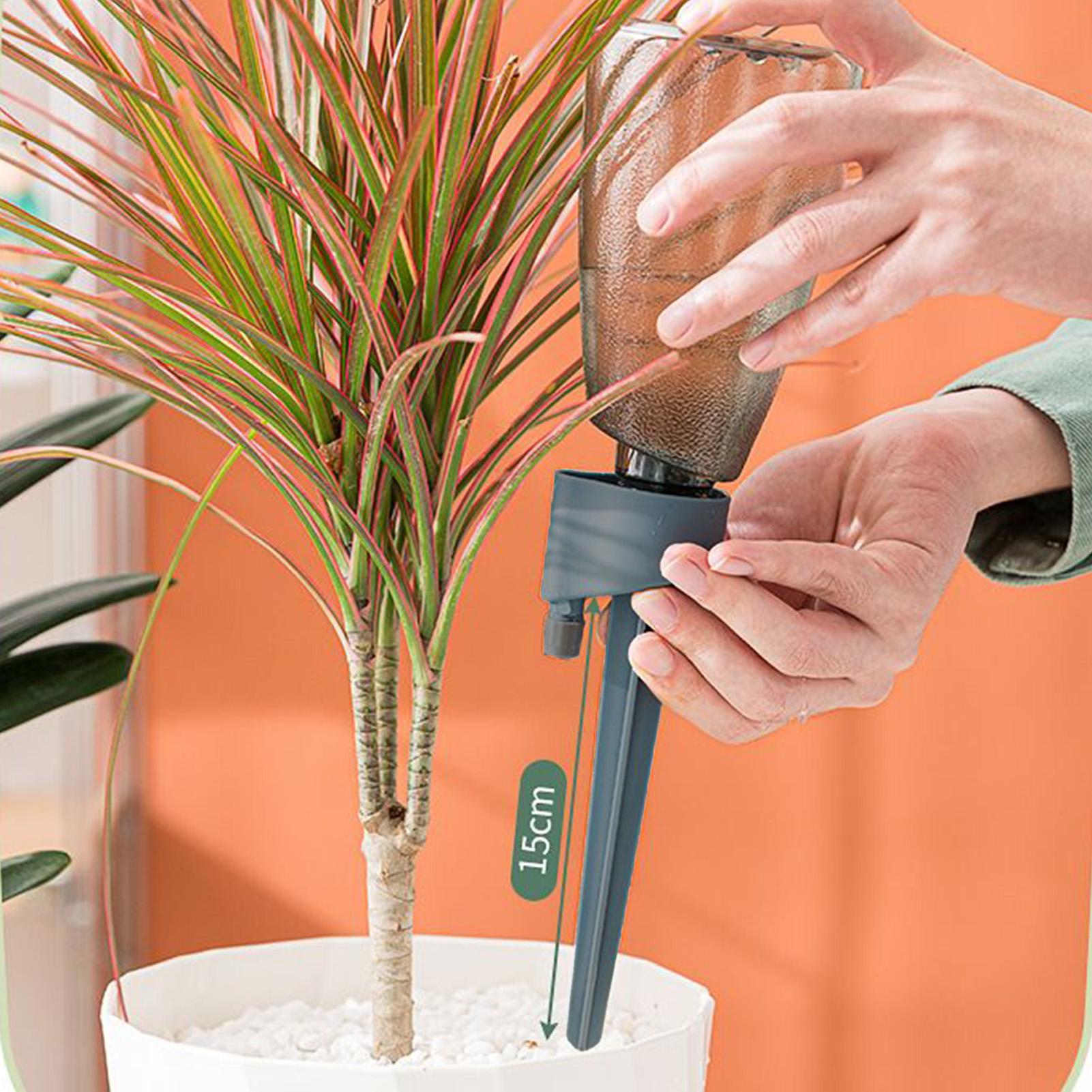 6-delige automatische watergev - Plant Parent Kit recensie en prijs