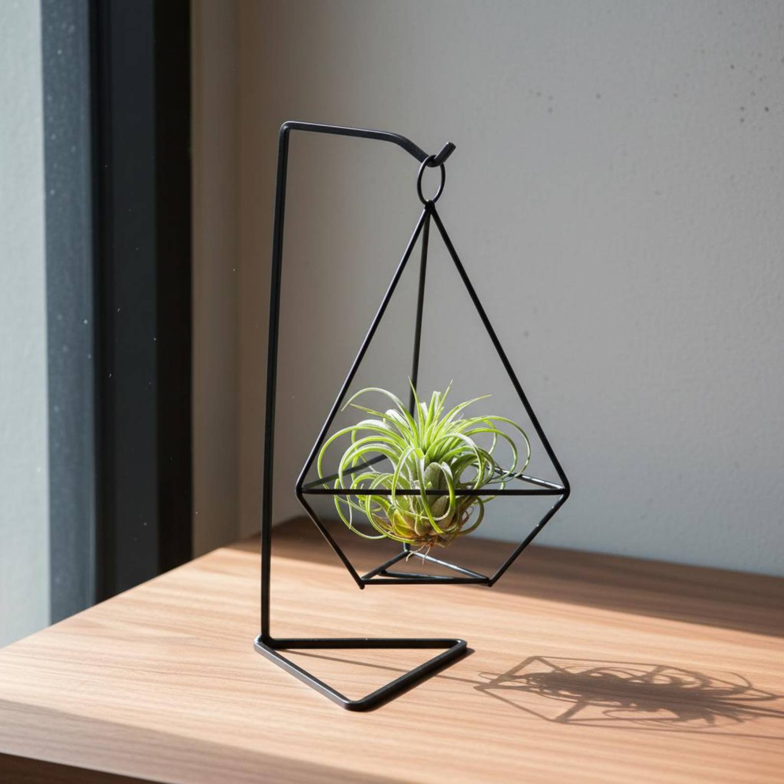 Geometrische luchtplantenhoude - Air Plant Tillandsia recensie en prijs
