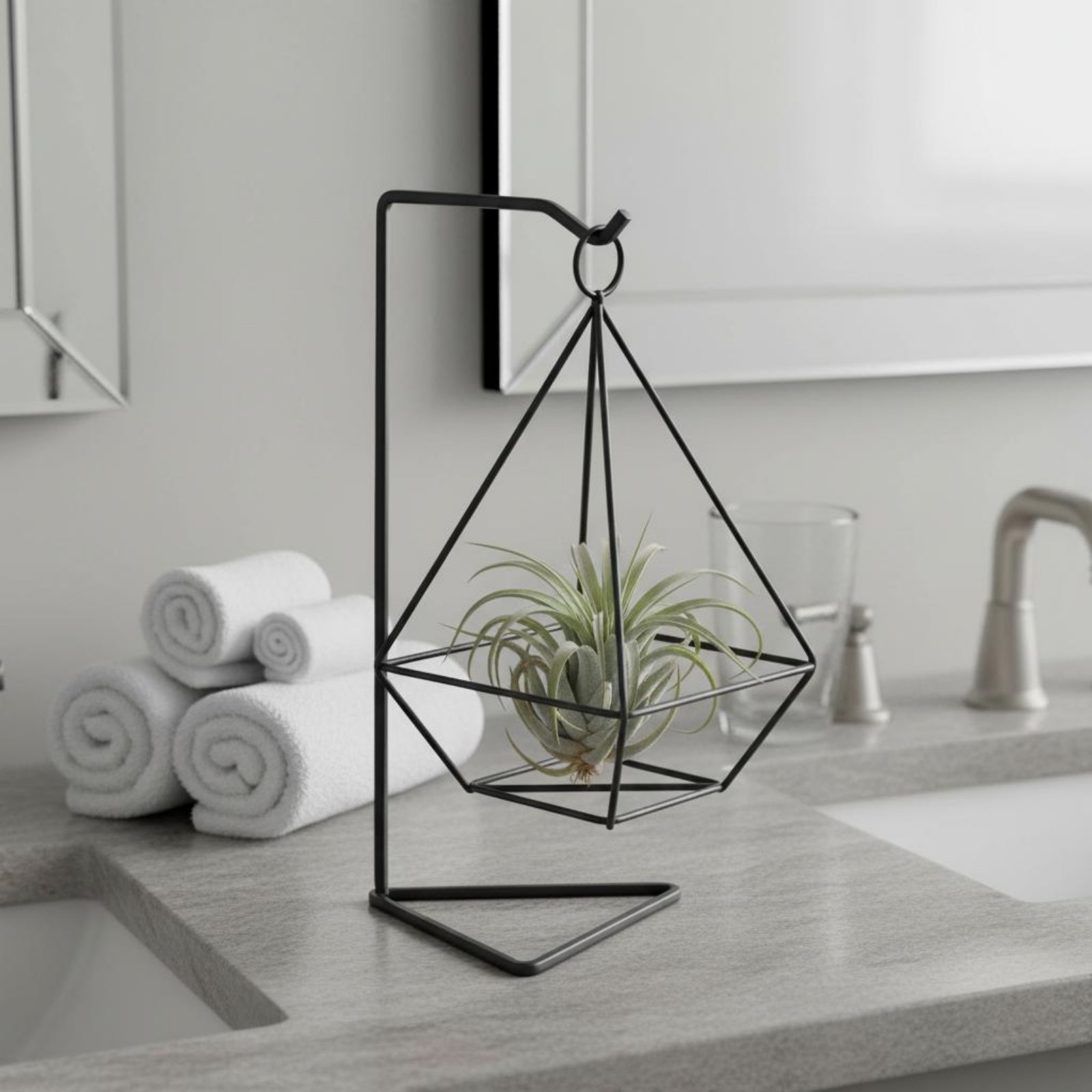 Geometrische luchtplantenhoude - Air Plant Tillandsia recensie en prijs