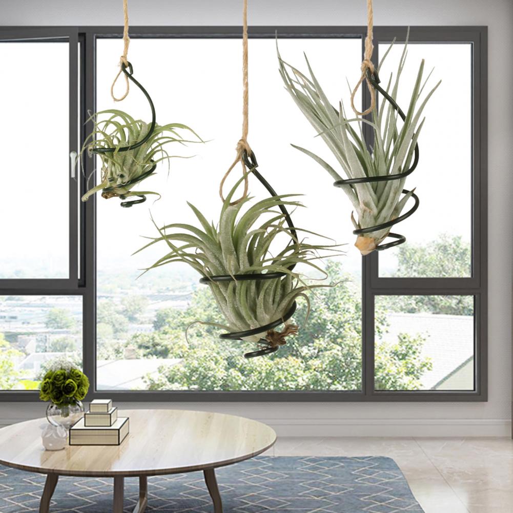 Plantenstandaard Metaal 6 Stuk - Air Plant Tillandsia recensie en prijs
