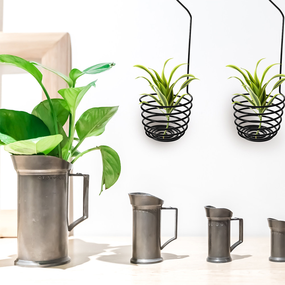 3 stuks metalen spiraalvormige - Air Plant Tillandsia recensie en prijs