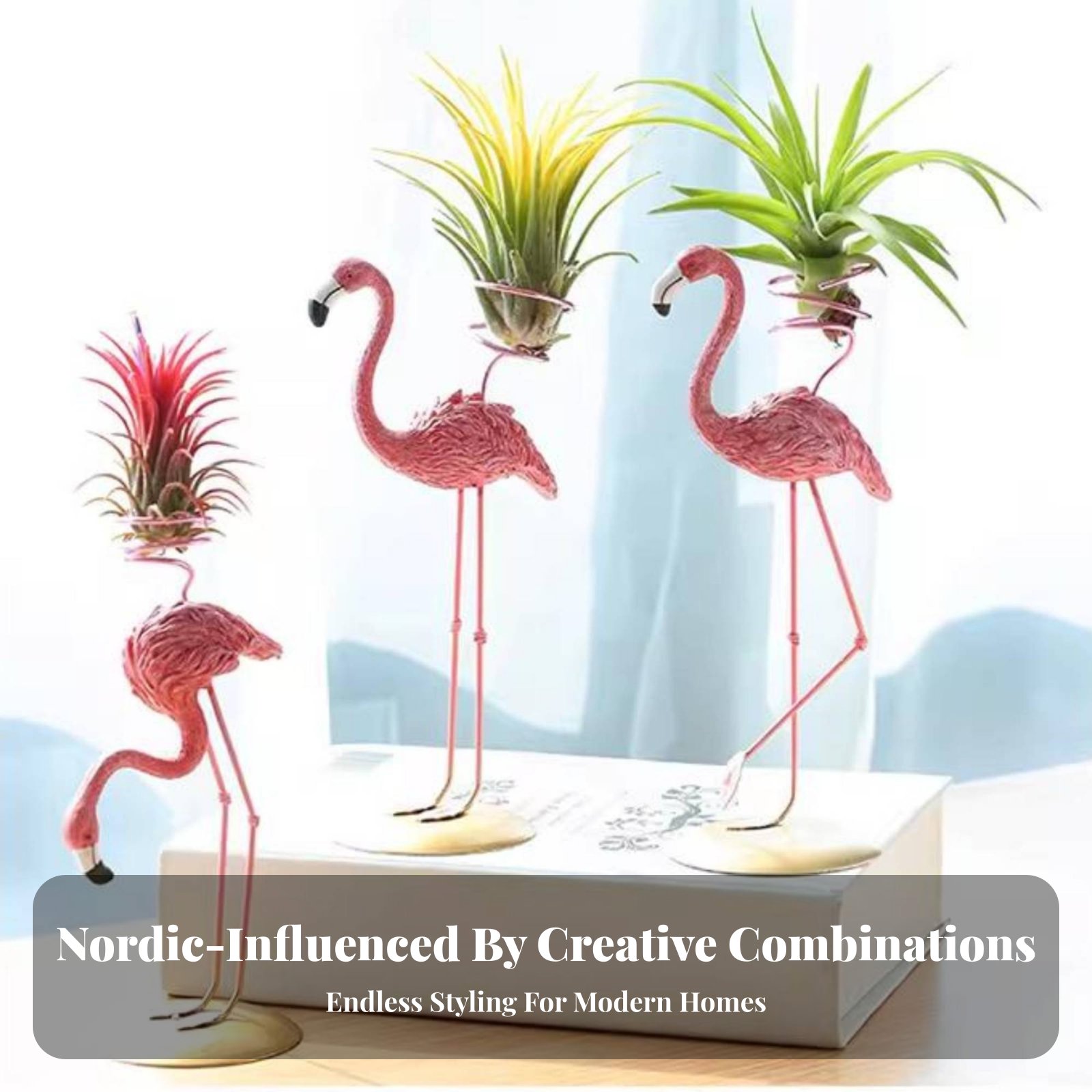 Geometrische Tillandsia-houder - Air Plant Tillandsia recensie en prijs