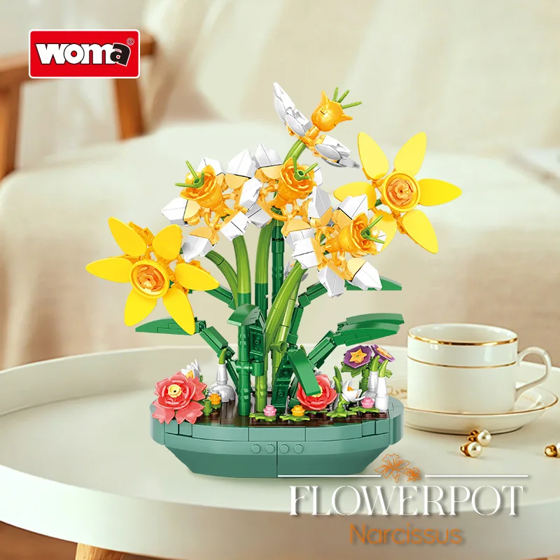 Geconserveerde narcis in pot m - Plant Parent Pot recensie en prijs